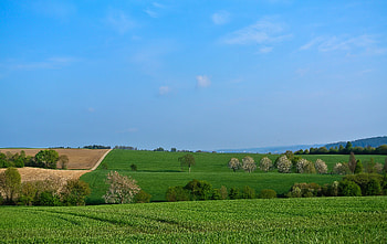 Nature, Grass, Field, Hills HD wallpaper