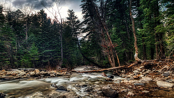 Little Cottonwood Canyon Creek, Utah, trees, clouds, sky, water, forest, rocks, usa, stones HD wallpaper
