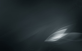 Abstract, Shine, Light, Sheet, Leaf, Form, Bw, Chb HD wallpaper