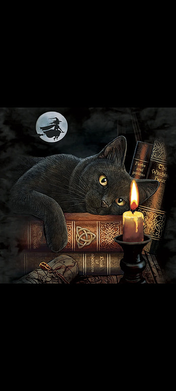 Bookish Halloween cat, witch HD phone wallpaper