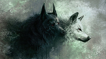 Search Results for “wolf angry ” – Adorable HD wallpaper
