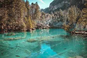 Serene turquoise waters of Blausee Lake surrounded by lush trees in Switzerland. HD wallpaper