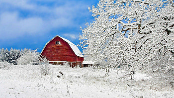 Nature, Trees, Sky, Snow, Building HD wallpaper