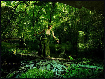 BEAUTY AND FROG, magic, fantasy, green, trees, frog, forest, beauty HD wallpaper