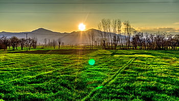Golden sunrise over green fields in Kalam, Pakistan, with distant mountains and serene landscape. HD wallpaper