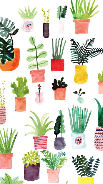 Houseplant Collection Watercolor, houseplant, artistic, plant, watercolor HD phone wallpaper