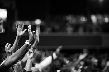 Black and white of audience with hands raised, capturing concert energy. HD wallpaper