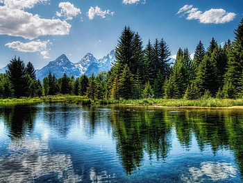 clouds reflection on the lake, trees, nature, reflection, lake HD wallpaper
