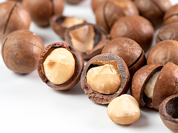 Macadamias, Golden macadamias, South Africa, Tomra HD wallpaper
