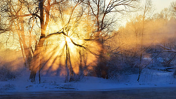 Morning Sunrays, sun, snow, winter, snrise, landscape, trees, sky HD wallpaper