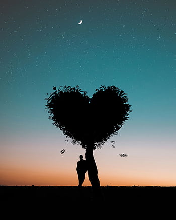 Silhouette of a person under a heart-shaped tree against a twilight sky. HD phone wallpaper