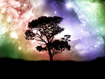 Colourful Sky, colors, sky, beautiful, grass, dark, tree HD wallpaper