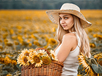 Sunflower Muse — Model in a Golden Field, woman, model HD wallpaper