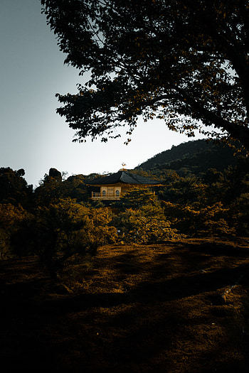 Nature, Trees, Hills, Pagoda, Temple HD phone wallpaper