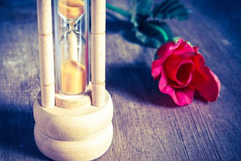 My world on the move, rose, hourglass, still life, time HD wallpaper