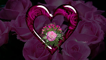 purple hearts and roses | Purple Hearts And Roses Red roses and hearts . HD wallpaper
