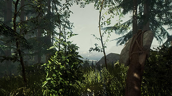 Sons of the Forest Game - Immersive Forest View, video game, Sons of the Forest HD wallpaper