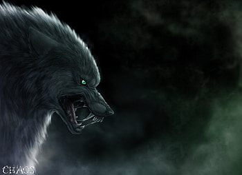 Animals, Wolfs, Art HD wallpaper