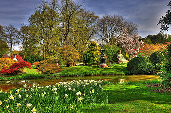 Nature, Flowers, Narcissussi, Buddha, Garden, Pond, Statues HD wallpaper