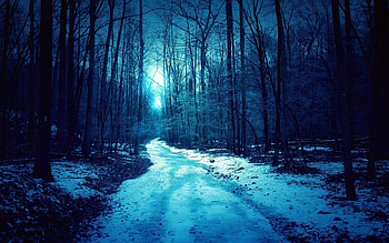 Forest blue winter dark spooky road | | 632669 | UP HD wallpaper