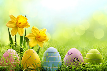 Holiday Easter Egg, easter, eggs, celebrations HD wallpaper