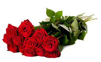 Red Roses For Friends DN, bouquet, moments, beautiful, romance, special, love, red roses, flowers, friends HD wallpaper