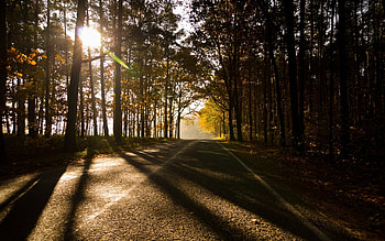 Landscape, Nature, Roads HD wallpaper