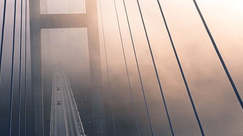 A suspension bridge emerges from the dense morning fog, showcasing an ethereal, modern urban scene. HD wallpaper