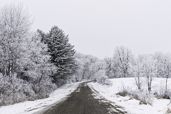 Landscape, Winter, Nature, Trees, Snow, Road HD wallpaper