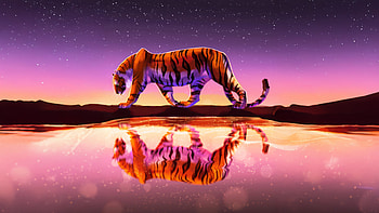 Tiger Reflected In Water Under Starry Sky, tiger, water, star, sky, artist, artwork, art, digital-art, deviantart HD wallpaper
