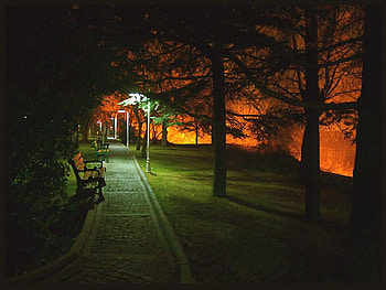 night-walking, night, park HD wallpaper