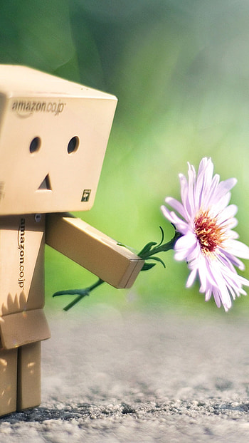 A Cute, Danbo HD phone wallpaper
