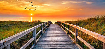 Sunset beach, beach, ocean, sea, golden, dunes, coast, paradise, beautiful, orange, north, reflection, sky, Germany, sunset HD wallpaper