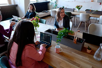 Women collaborating in a modern office environment with laptops and indoor plants, fostering teamwork. HD wallpaper