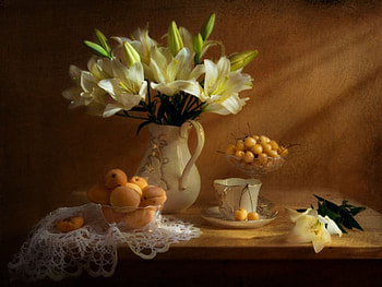 Yellow shade, still life, shade, graphy, flowers, colourful, flower pot HD wallpaper
