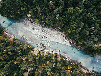 Nature, Rivers, Trees, View From Above, Forest HD wallpaper