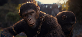 Planet of the Apes Movie - Primate Uprising, movie, rise of the planet of the apes HD wallpaper