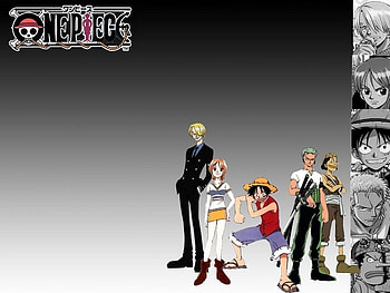 One Piece, girl, stuff, anime, boys HD wallpaper