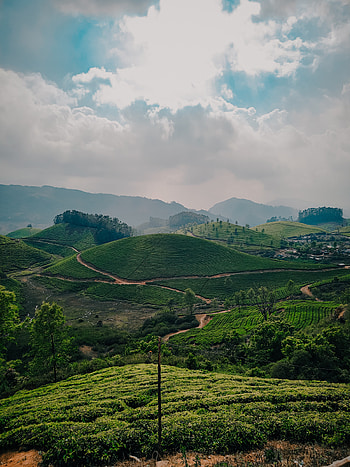 Munnar, sky, tea, mountain, plantation, clouds, greenary HD phone wallpaper
