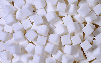 Sugarcane , Natural sweetness, Juicy stalks, Tropical vibes HD wallpaper