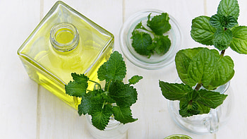 Medicinal herbs, , Natural remedies, Healing properties HD wallpaper