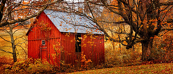 Autumn hut, hut, house, fall, autumn, beautiful, orange, foliage, cabin, leaves, red HD wallpaper