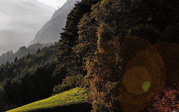 Glare, landscape, beautiful, nature, amazing, mountains, sun, forest HD wallpaper