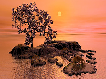 Landscape, Trees, Sun HD wallpaper