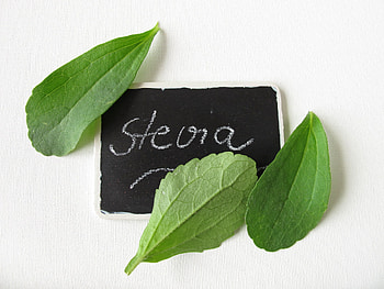 Leaves, Stevia HD wallpaper