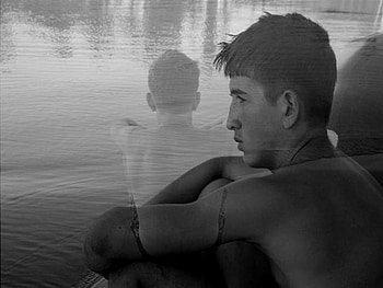 I'm Sorry, life, graphy, pain, black and white, love HD wallpaper