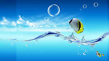 Salt Life For HD wallpaper