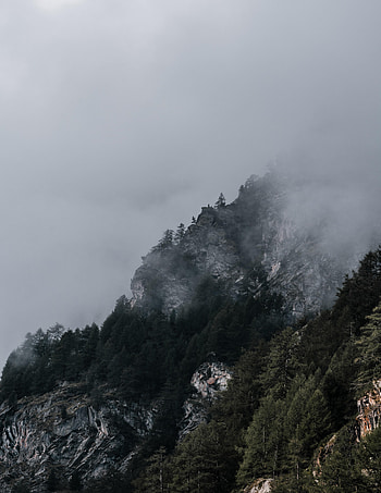 Nature, Trees, Rocks, Fog, Darkness, Slope HD phone wallpaper