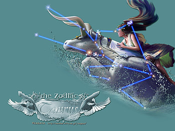 zodiac signs, taurus, cancer, scor, aqua, leo, libra, star, capric, pisces, sagi, gemini, virgo HD wallpaper