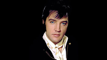 Elvis Presley, , cat, Iconic singer HD wallpaper